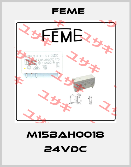 M15BAH0018 24VDC Feme