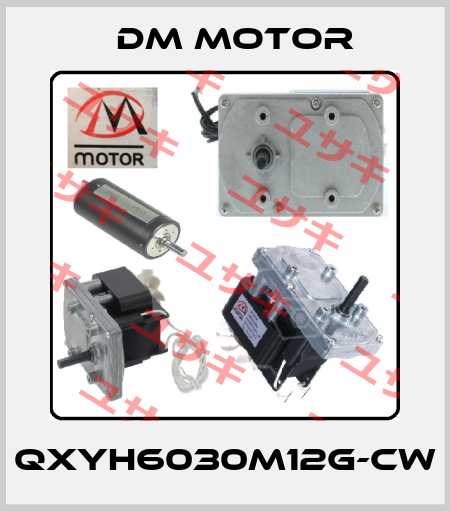 QXYH6030M12G-CW DM Motor
