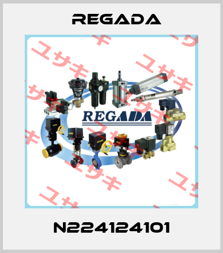 N224124101 Regada
