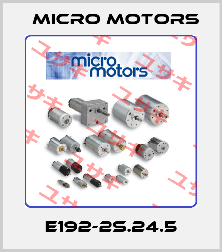 E192-2S.24.5 Micro Motors