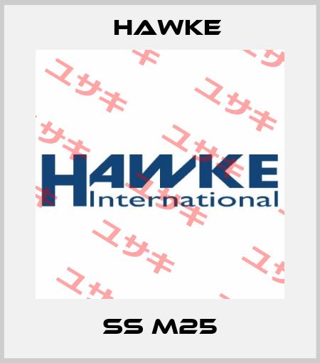 SS M25 Hawke