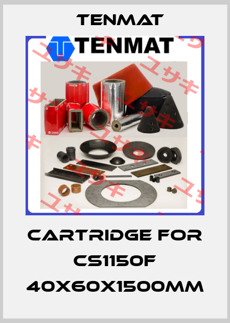 Cartridge for CS1150F 40x60x1500mm TENMAT
