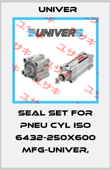SEAL SET FOR PNEU CYL ISO 6432-250X600 Mfg-Univer, Univer