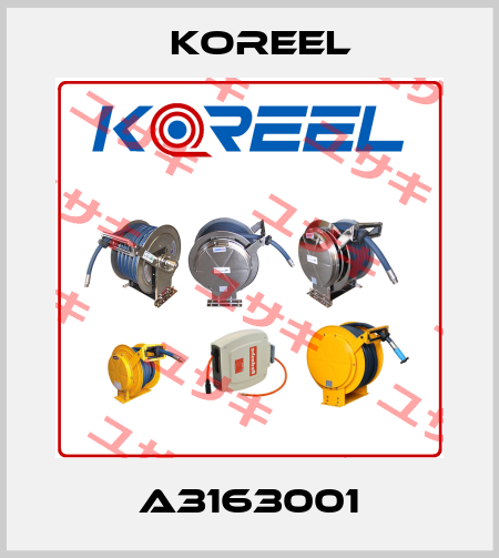 A3163001 Koreel