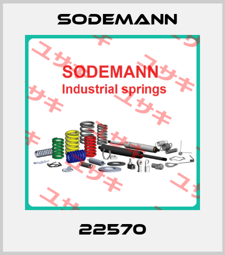 22570 Sodemann