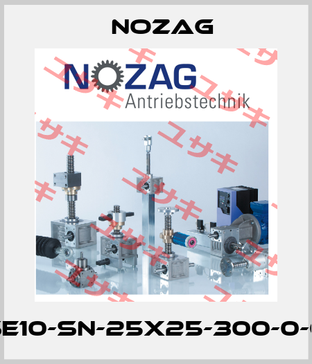 NSE10-SN-25x25-300-0-09 Nozag