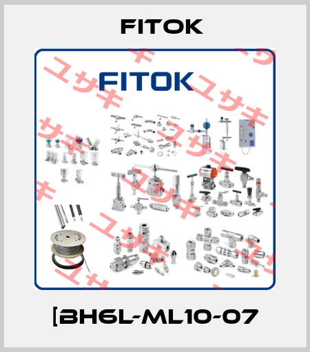 [BH6L-ML10-07 Fitok