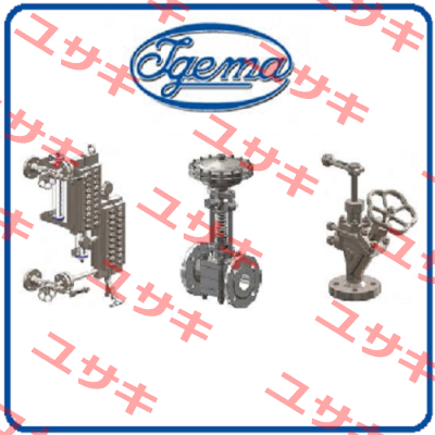 20-10020 //  DLT2 Igema