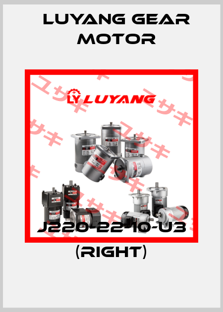 J220-22-10-U3 (right) Luyang Gear Motor
