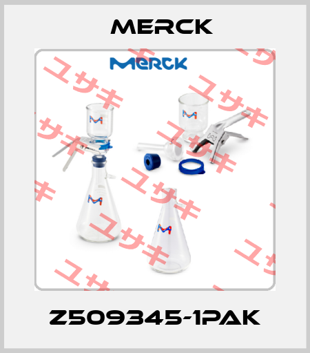 Z509345-1PAK Merck