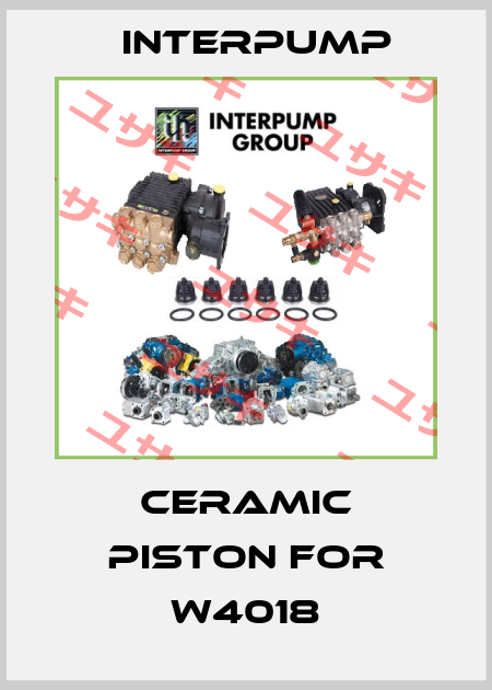 ceramic piston for W4018 Interpump