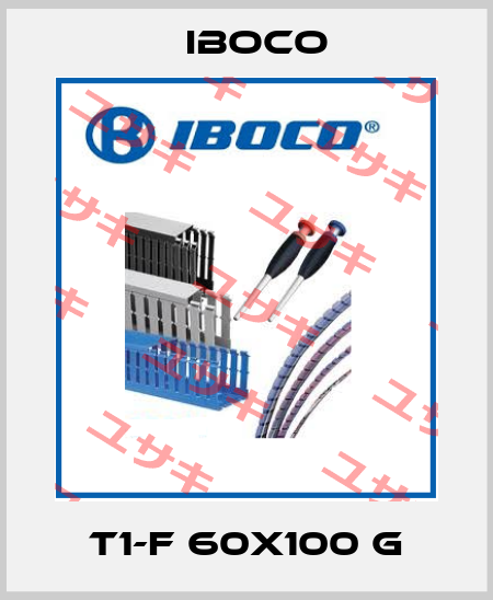 T1-F 60x100 G Iboco