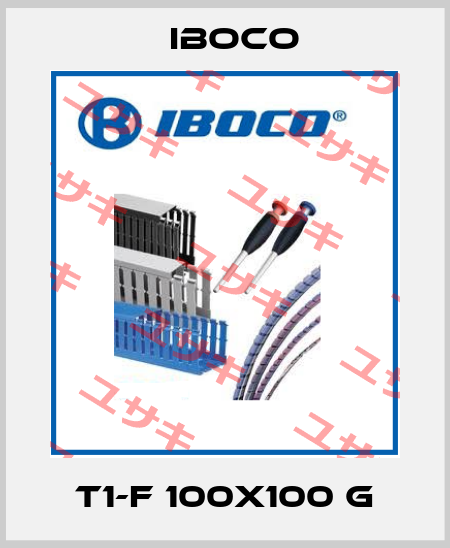 T1-F 100x100 G Iboco