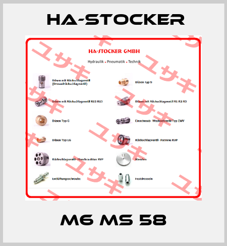 M6 MS 58 HA-Stocker 