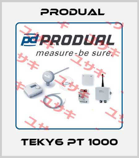 TEKY6 PT 1000 Produal