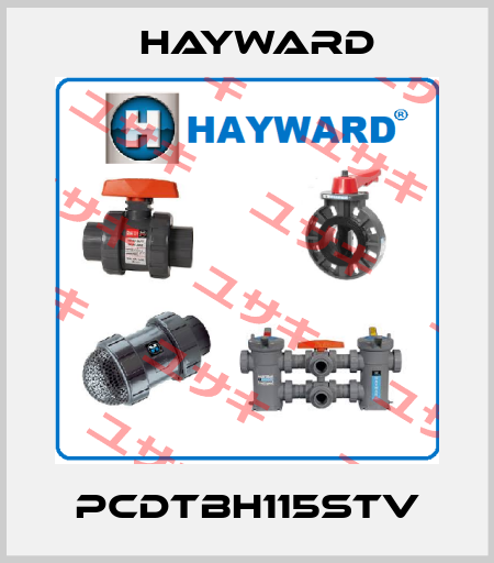 PCDTBH115STV HAYWARD