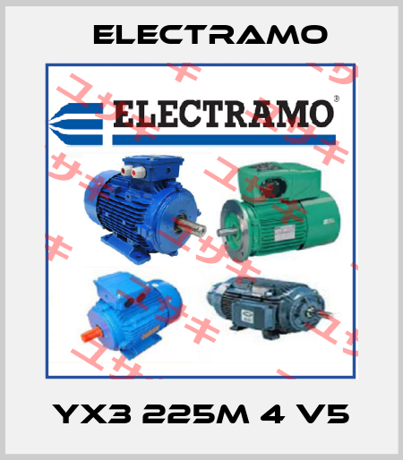 YX3 225M 4 V5 Electramo
