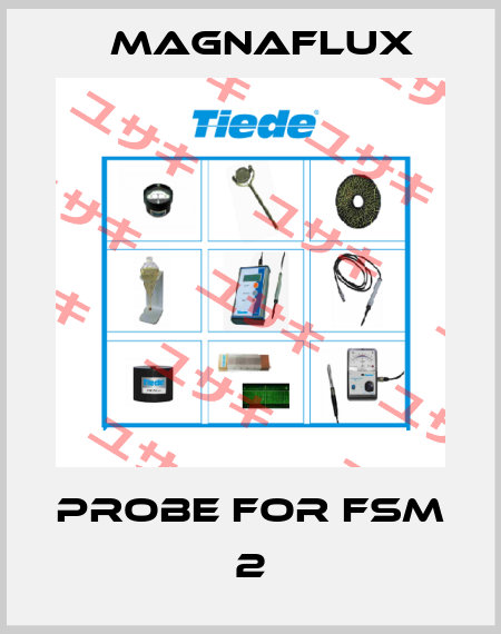 probe for FSM 2 Magnaflux
