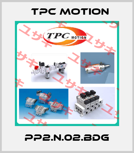PP2.N.02.BDG TPC Motion