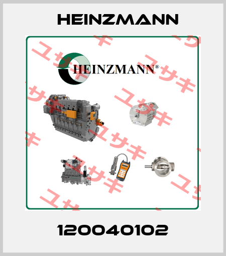 120040102 Heinzmann
