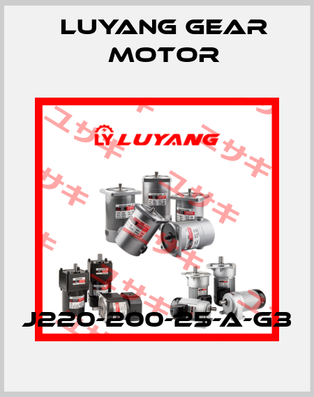 J220-200-25-A-G3 Luyang Gear Motor