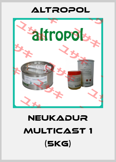 NEUKADUR MultiCast 1 (5kg) Altropol