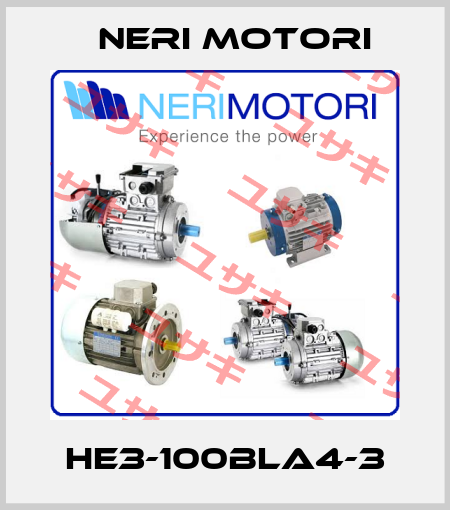 HE3-100BLA4-3 Neri Motori