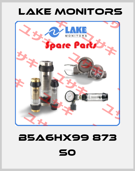 B5A6HX99 873 S0 Lake Monitors