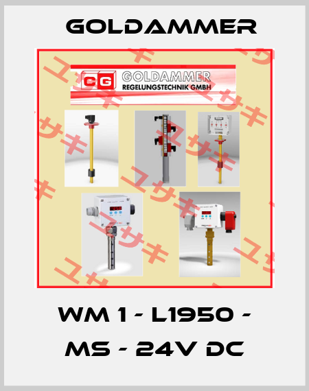WM 1 - L1950 - MS - 24V DC Goldammer