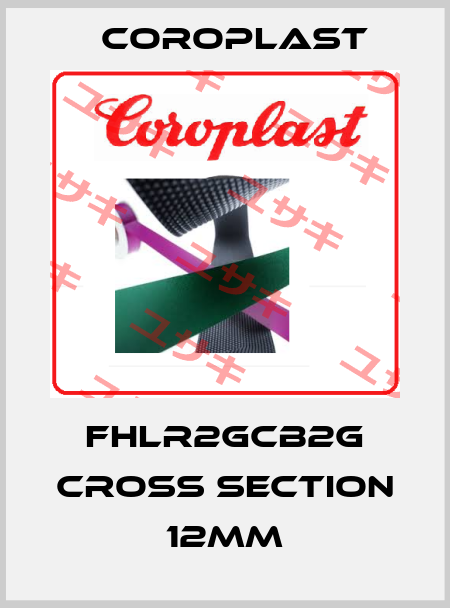 FHLR2GCB2G cross section 12mm Coroplast