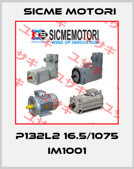 P132L2 16.5/1075 IM1001 Sicme Motori