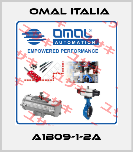 A1B09-1-2A Omal Italia