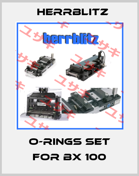O-rings set for BX 100 Herrblitz