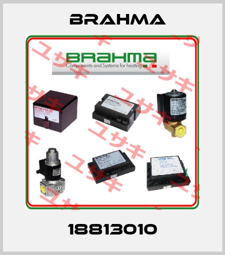 18813010 Brahma