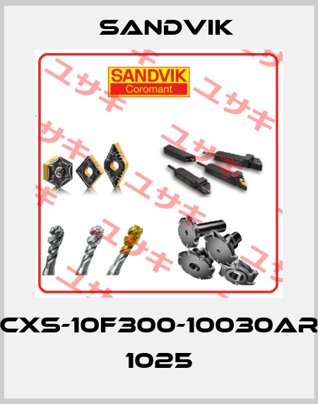 CXS-10F300-10030AR 1025 Sandvik