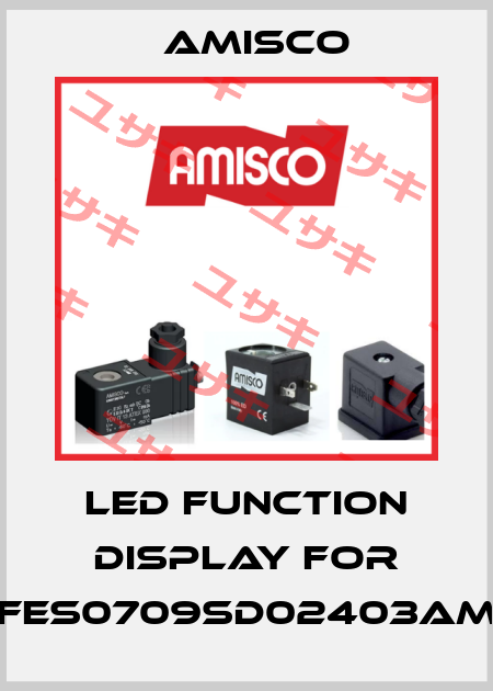LED function display for FES0709SD02403AM Amisco