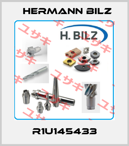 R1U145433 Hermann Bilz