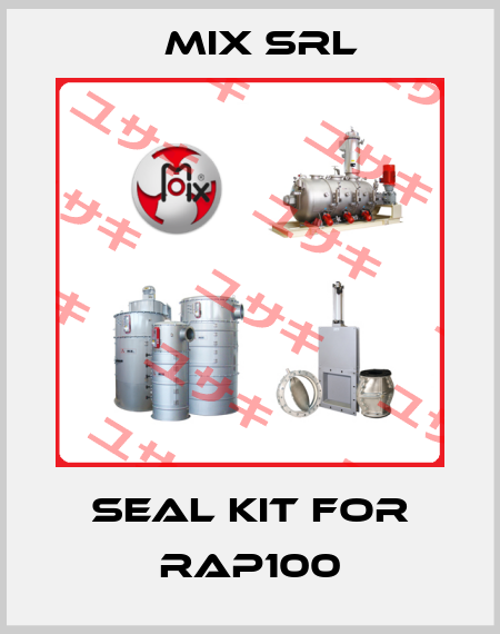 Seal kit for RAP100 MIX Srl