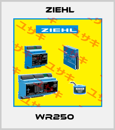 WR250   Ziehl