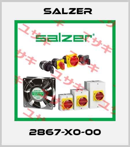 2867-X0-00 Salzer