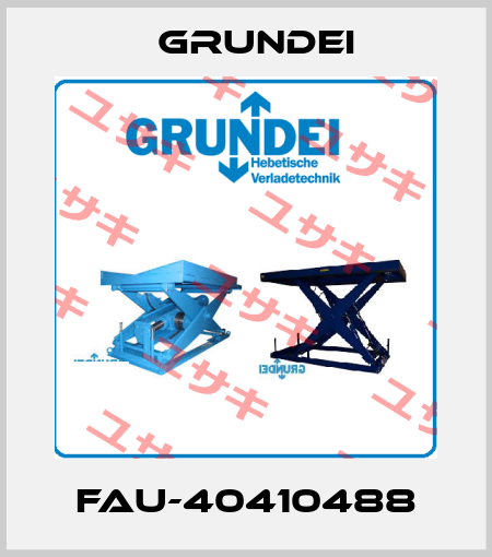 FAU-40410488 Grundei