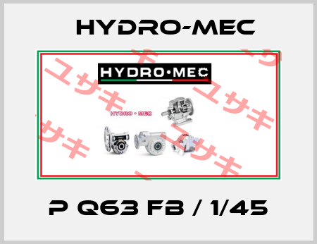 P Q63 FB / 1/45 Hydro-Mec