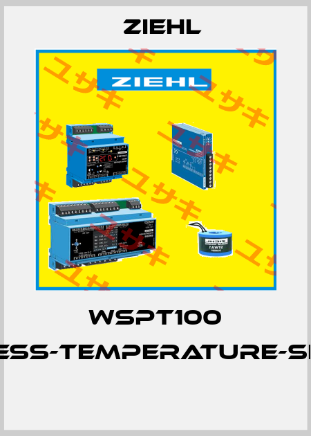 WSPT100 WIRELESS-TEMPERATURE-SENSOR  Ziehl
