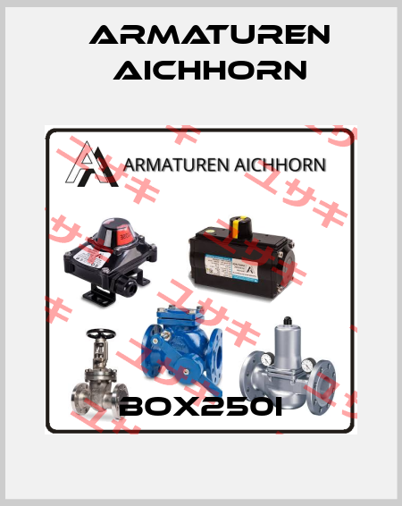 Box250I Armaturen Aichhorn