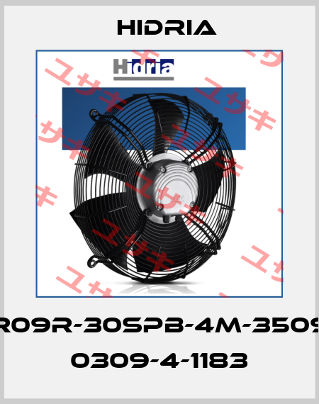 R09R-30SPB-4M-3509 0309-4-1183 Hidria