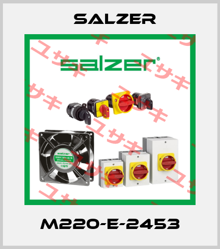 M220-E-2453 Salzer