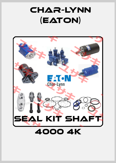 SEAL KIT SHAFT 4000 4K Char-Lynn (Eaton)