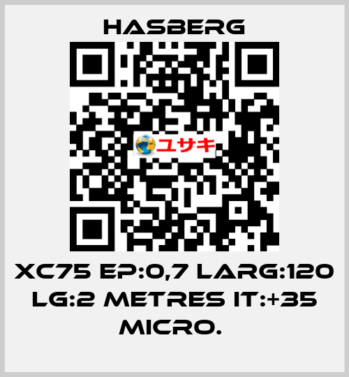 XC75 EP:0,7 LARG:120 LG:2 METRES IT:+35 MICRO.  Hasberg