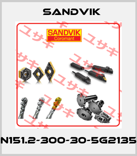 N151.2-300-30-5G2135 Sandvik