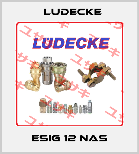 ESIG 12 NAS Ludecke
